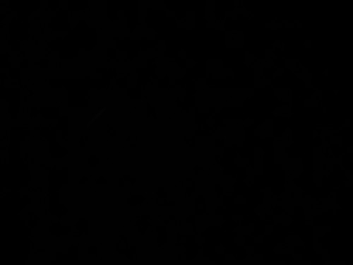 16517615490595452648432567662325.jpg