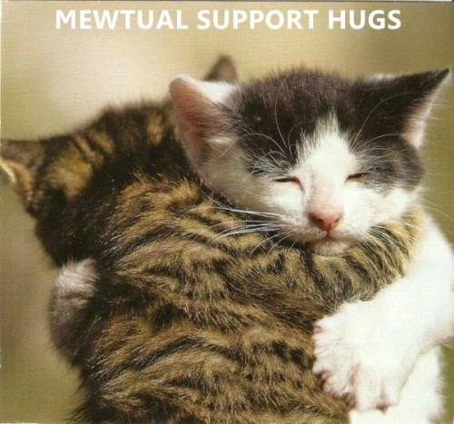 mewtual-support-hugs.jpg